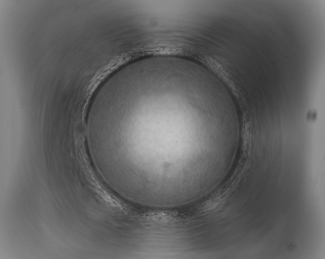 X0000113360721200909221158