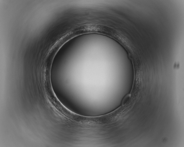 X0000113360722200909221158