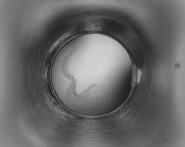 X0000113360723200909221158