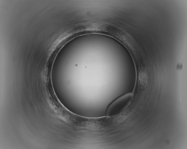 X0000113360724200909221158
