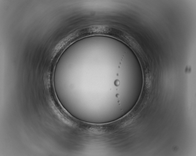 X0000113360725200909221158
