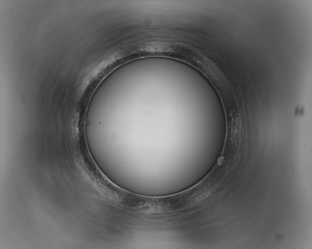 X0000113360727200909221159