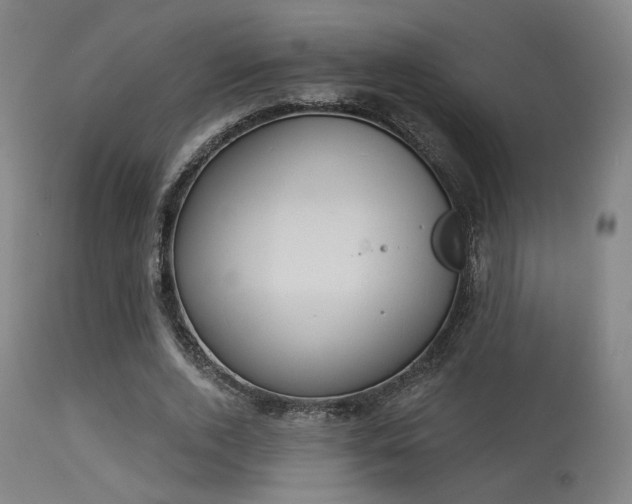 X0000113360728200909221159