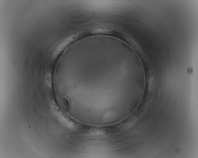 X0000113360729200909221159