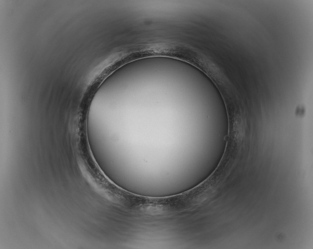 X0000113360730200909221159