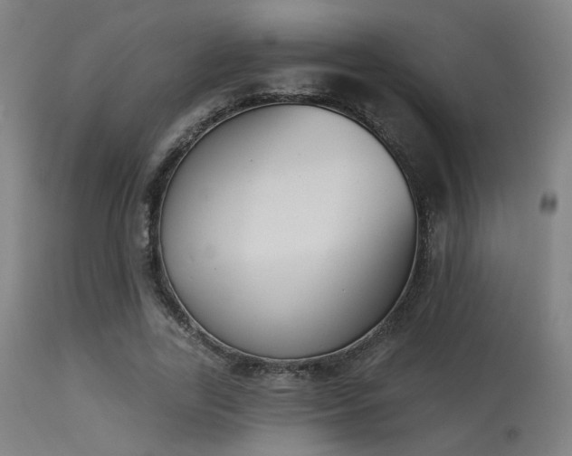 X0000113360731200909221159