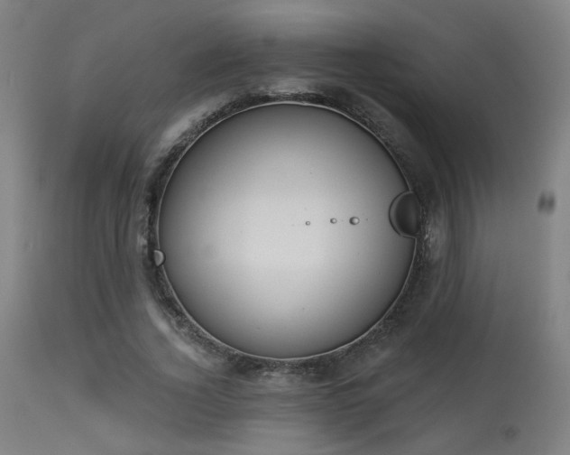 X0000113360732200909221159