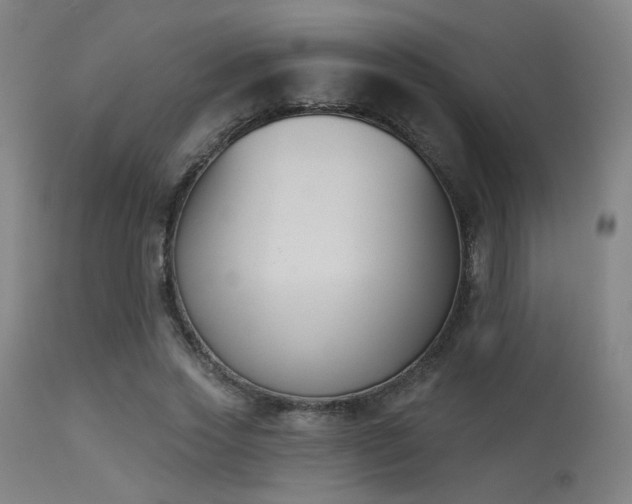 X0000113360733200909221159