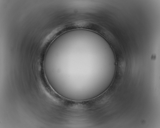 X0000113360734200909221159