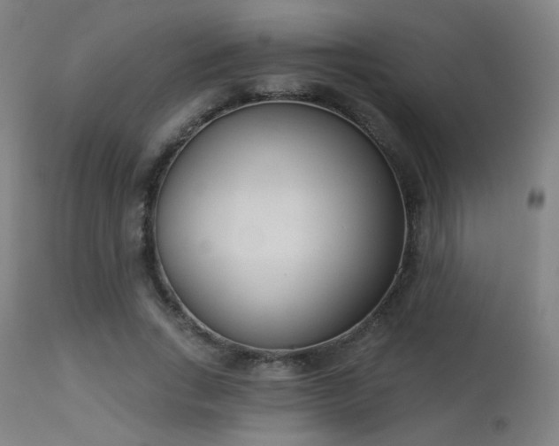 X0000113360735200909221159