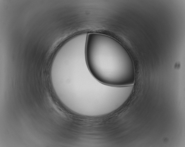 X0000113360736200909221159