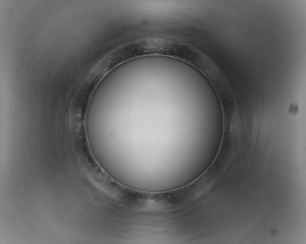 X0000113360737200909221159
