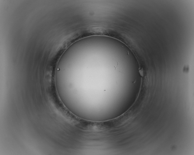 X0000113360739200909221159