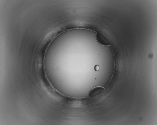 X0000113360740200909221159