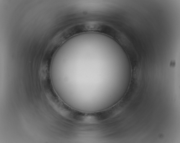 X0000113360741200909221159