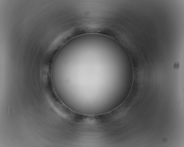 X0000113360742200909221159