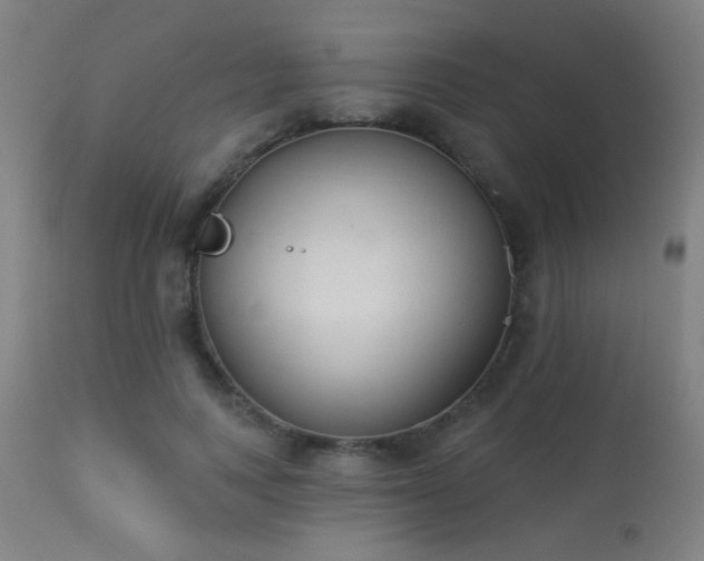 X0000113360743200909221159