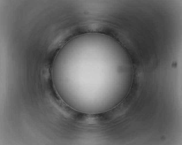 X0000113360746200909221159