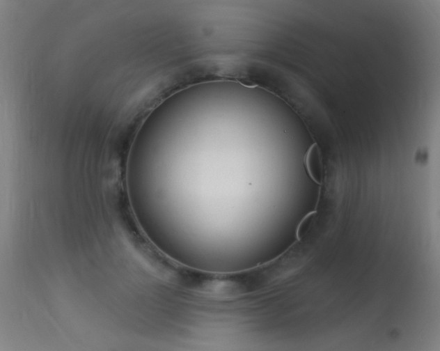 X0000113360748200909221159
