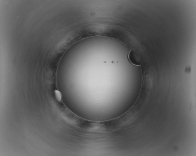 X0000113360750200909221159
