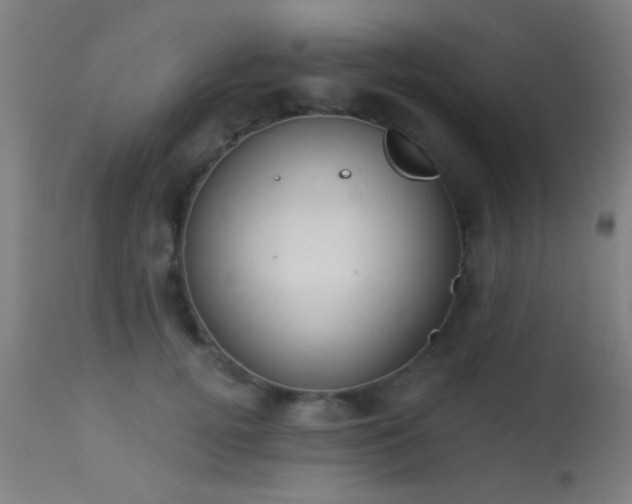 X0000113360752200909221159