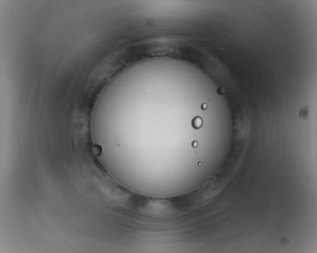 X0000113360753200909221159