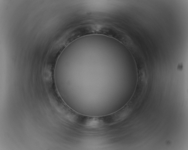 X0000113360754200909221159