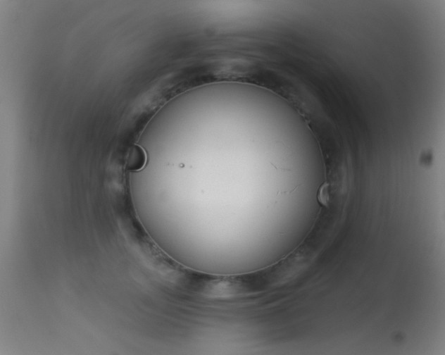 X0000113360755200909221159