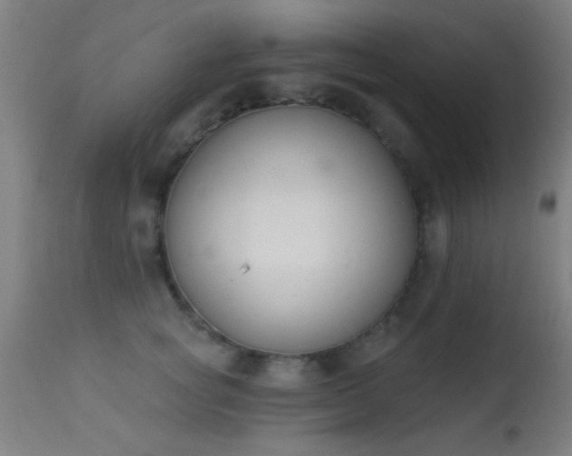 X0000113360757200909221159