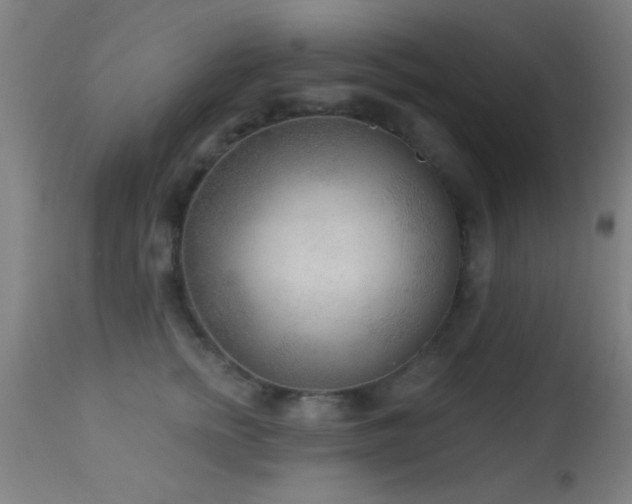 X0000113360758200909221159