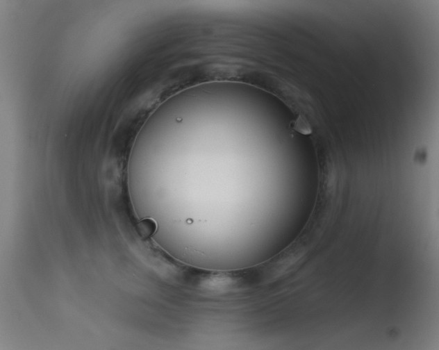 X0000113360759200909221159