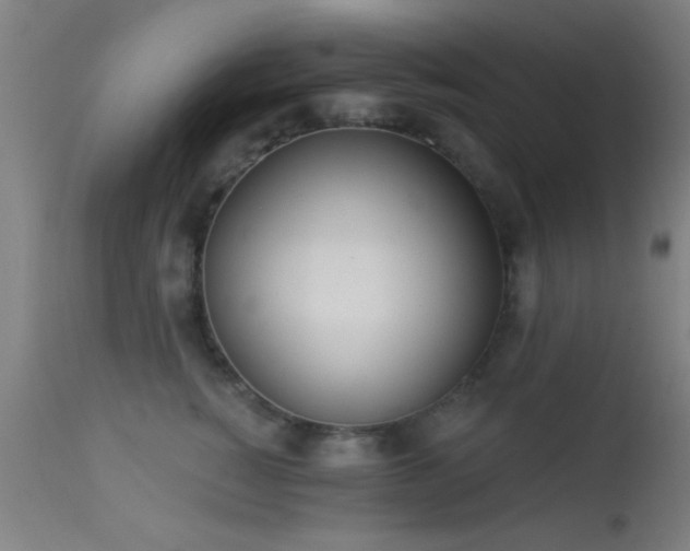 X0000113360760200909221159