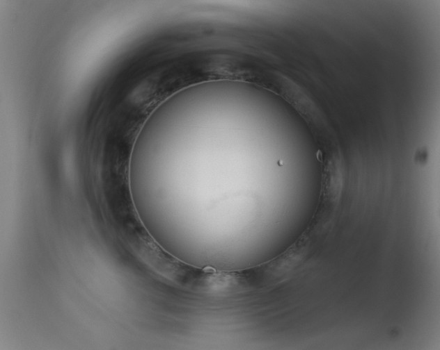 X0000113360762200909221159