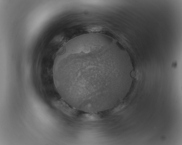 X0000113360763200909221159