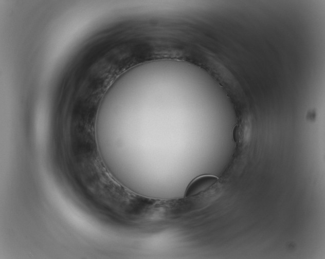 X0000113360764200909221159