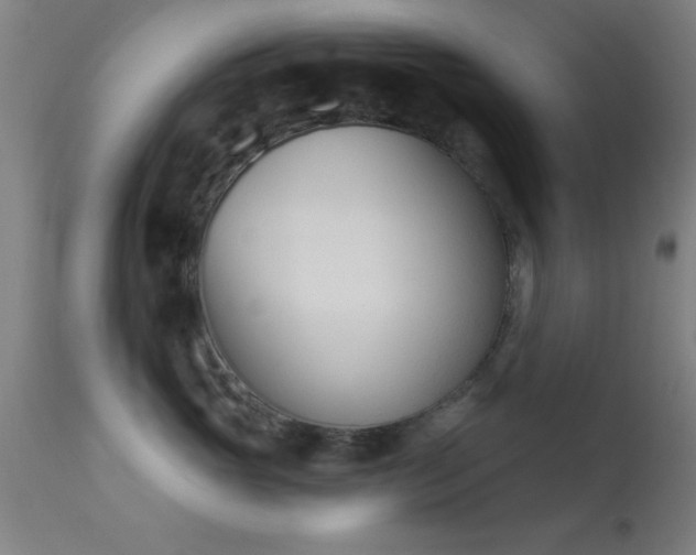 X0000113360765200909221159
