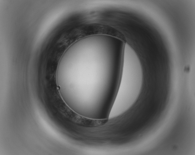 X0000113360766200909221159