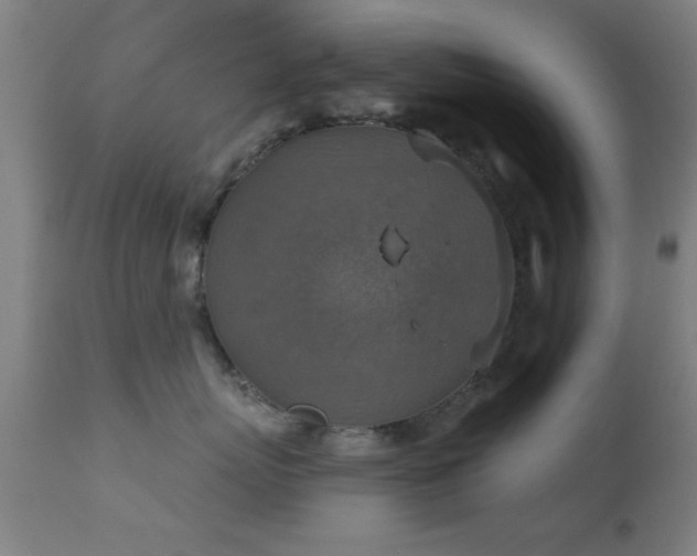 X0000113360767200909221159