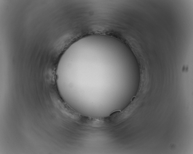 X0000113360768200909221159