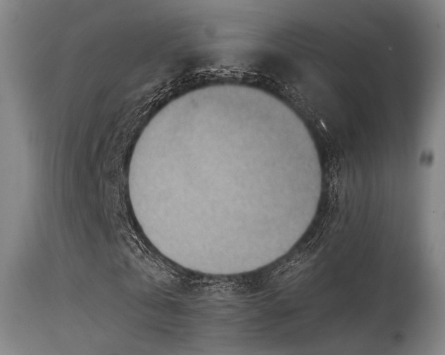 X0000113360769200909221158