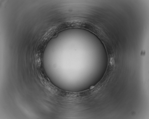 X0000113360771200909221158