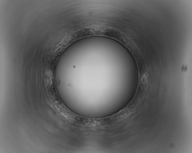 X0000113360772200909221158