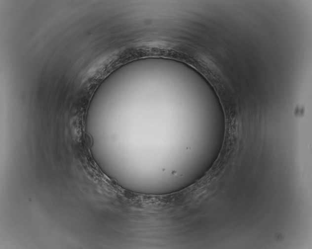X0000113360774200909221158