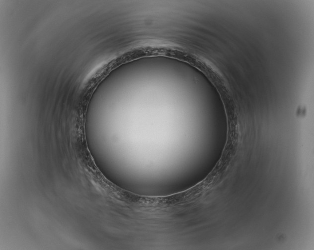 X0000113360775200909221158