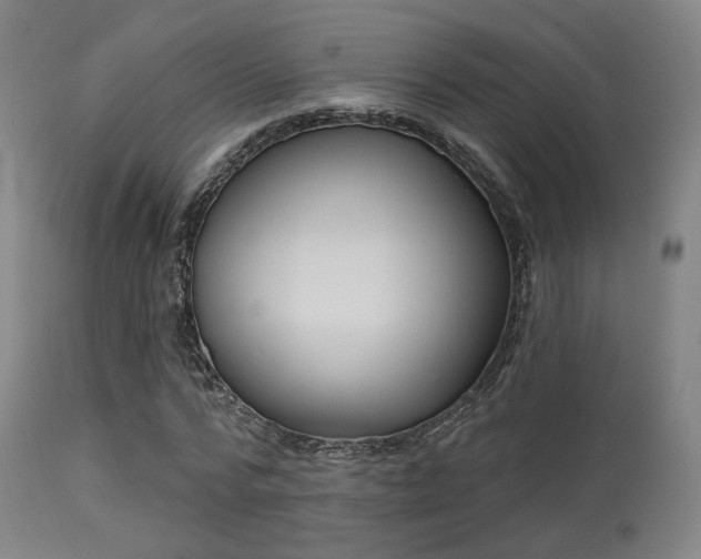 X0000113360776200909221158