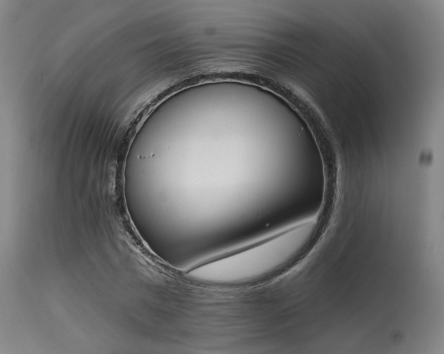 X0000113360777200909221158