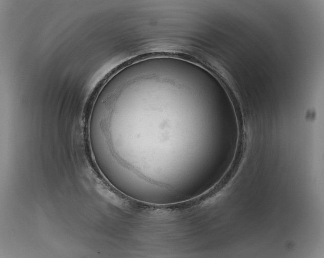 X0000113360779200909221158