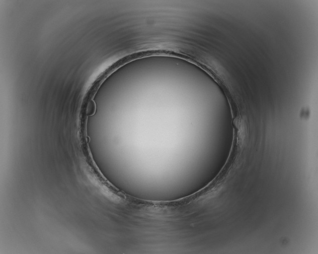 X0000113360780200909221158