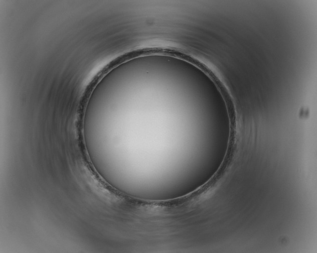 X0000113360783200909221158