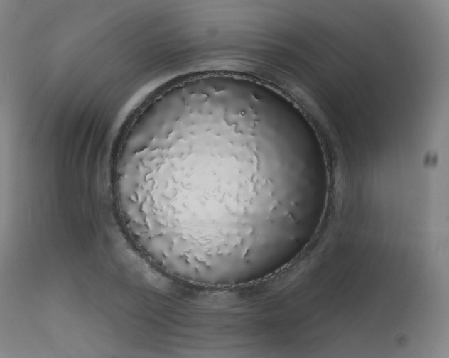 X0000113360784200909221158